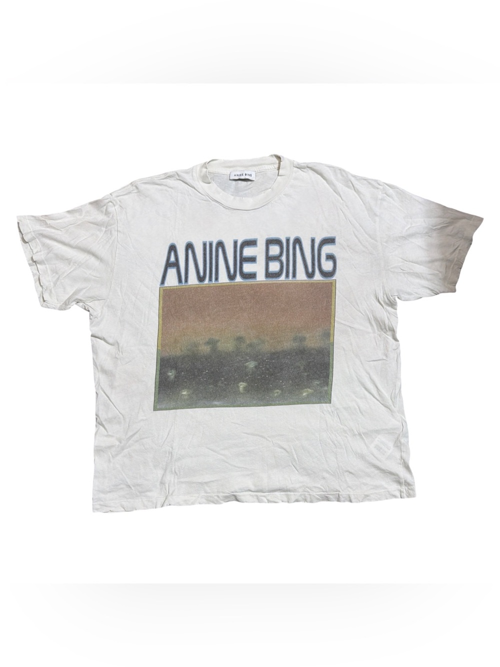 Anine Bing • Cade Mushroom Graphic Distressed Tee S